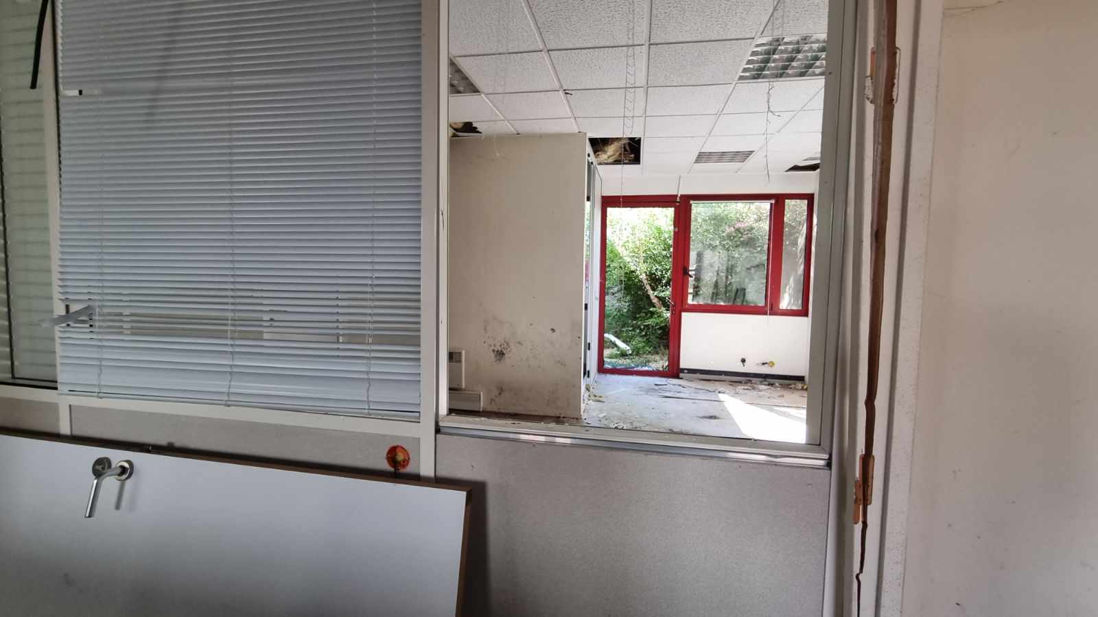 442669757_1165707747767955_7625927086747757131_n