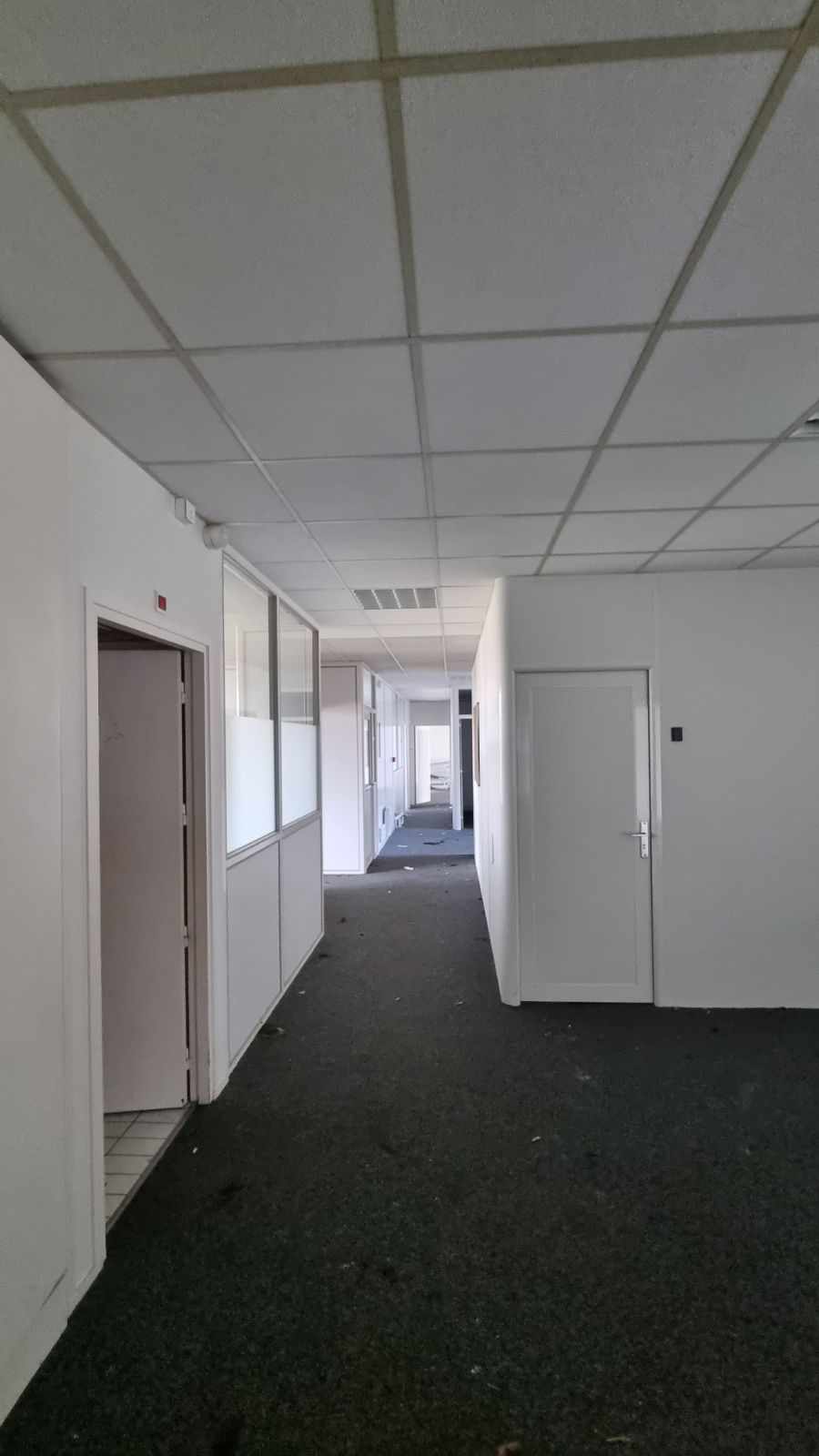 445800201_680864230827918_7307889460579779823_n