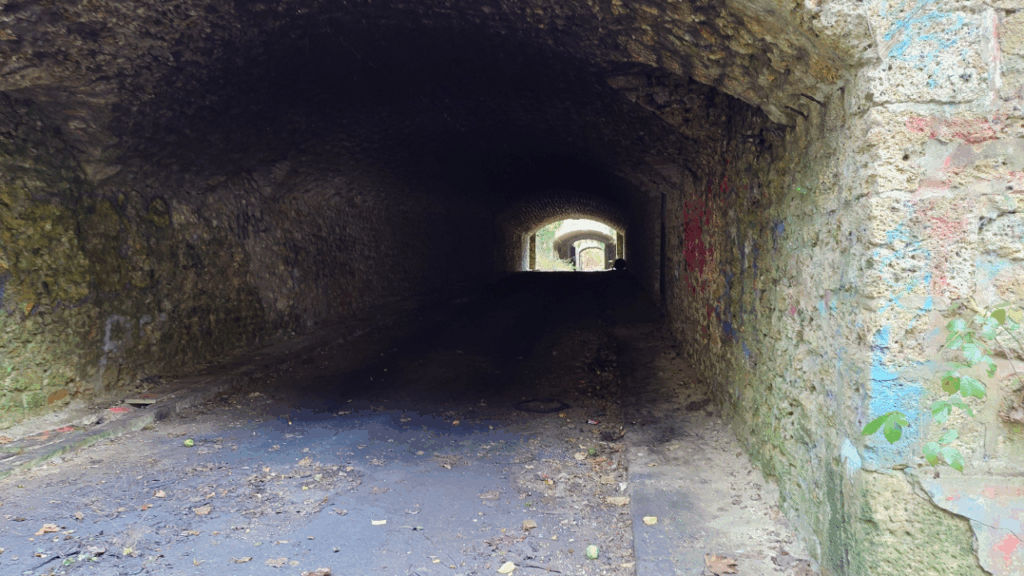 20251124_104631523[78]