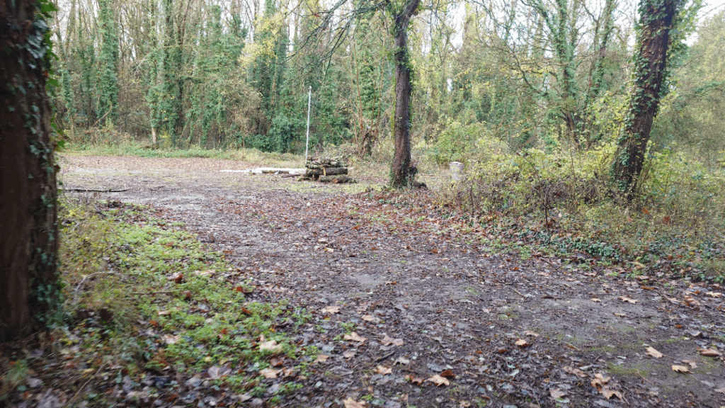 20251124_112619476[9]