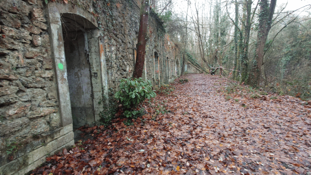 20251124_114330730[26]