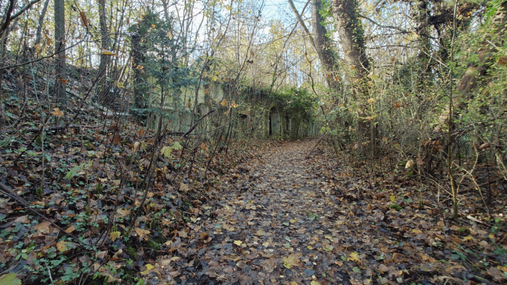 20251124_114943786[68]